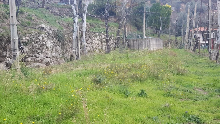 Terreno para Venda em Ribeira Foto 13