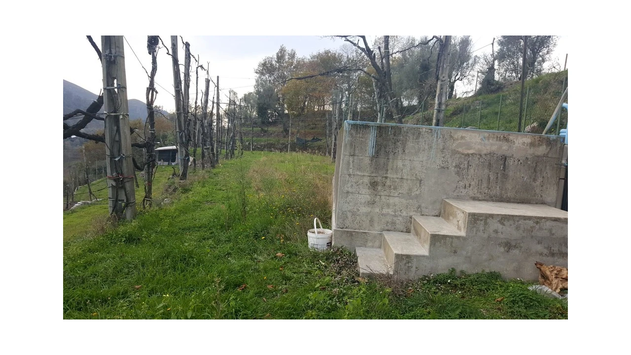 Terreno para Venda em Ribeira Foto 14