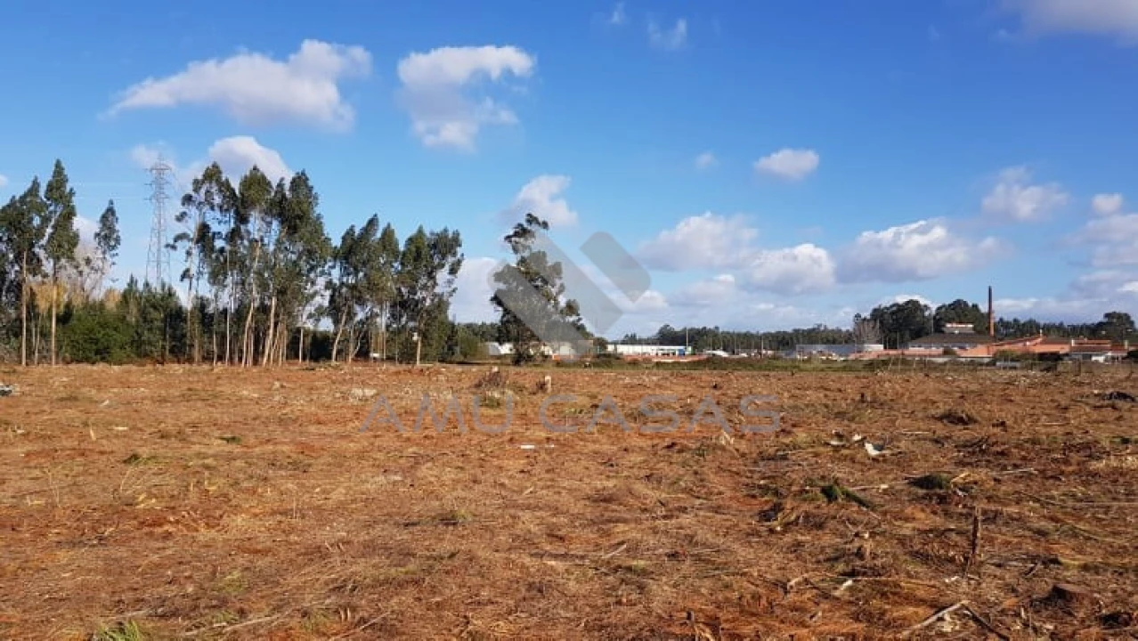 Terreno para Venda em Beduído e Veiros Foto 13