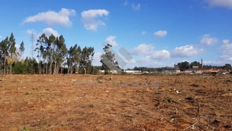 Terreno para Venda em Beduído e Veiros