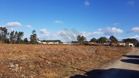 Terreno para Venda em Beduído e Veiros