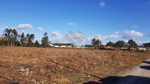 Terreno para Venda em Beduído e Veiros