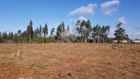 Terreno para Venda em Beduído e Veiros