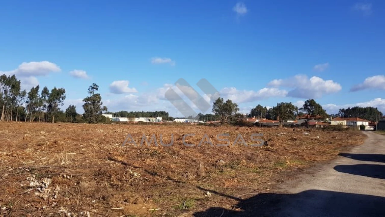 Terreno para Venda em Beduído e Veiros Foto 9