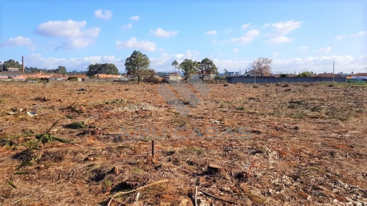 Terreno para Venda em Beduído e Veiros Foto 3