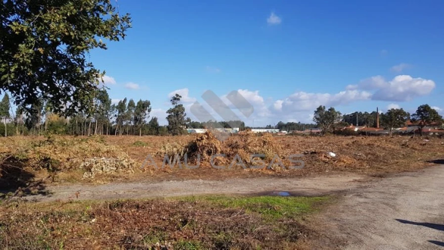 Terreno para Venda em Beduído e Veiros