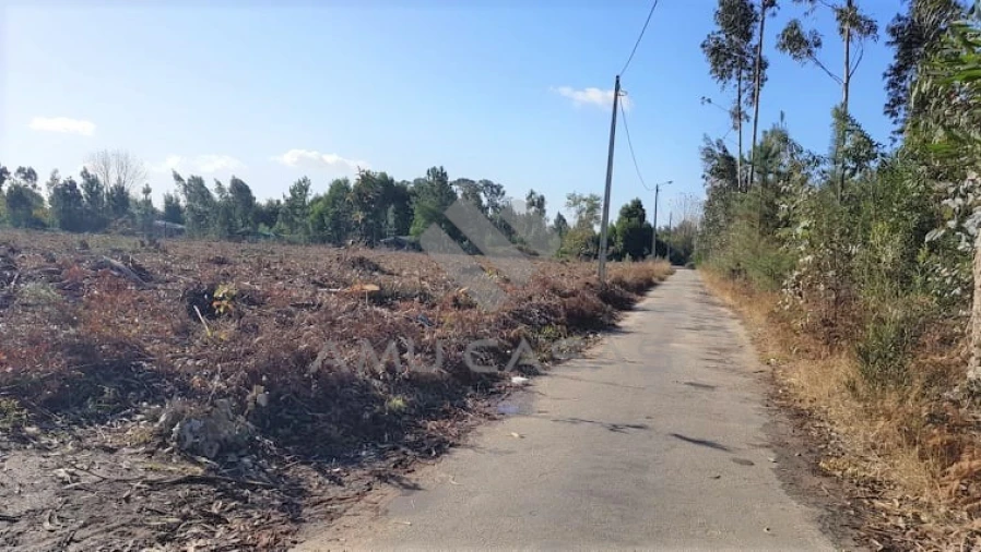 Terreno para Venda em Beduído e Veiros Foto 11
