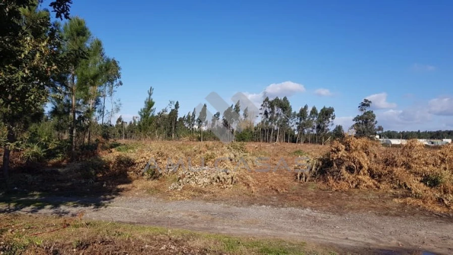 Terreno para Venda em Beduído e Veiros Foto 12