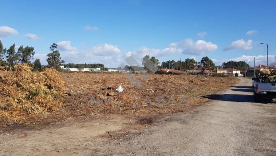 Terreno para Venda em Beduído e Veiros Foto 4