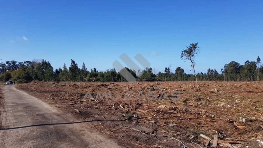 Terreno para Venda em Beduído e Veiros Foto 14