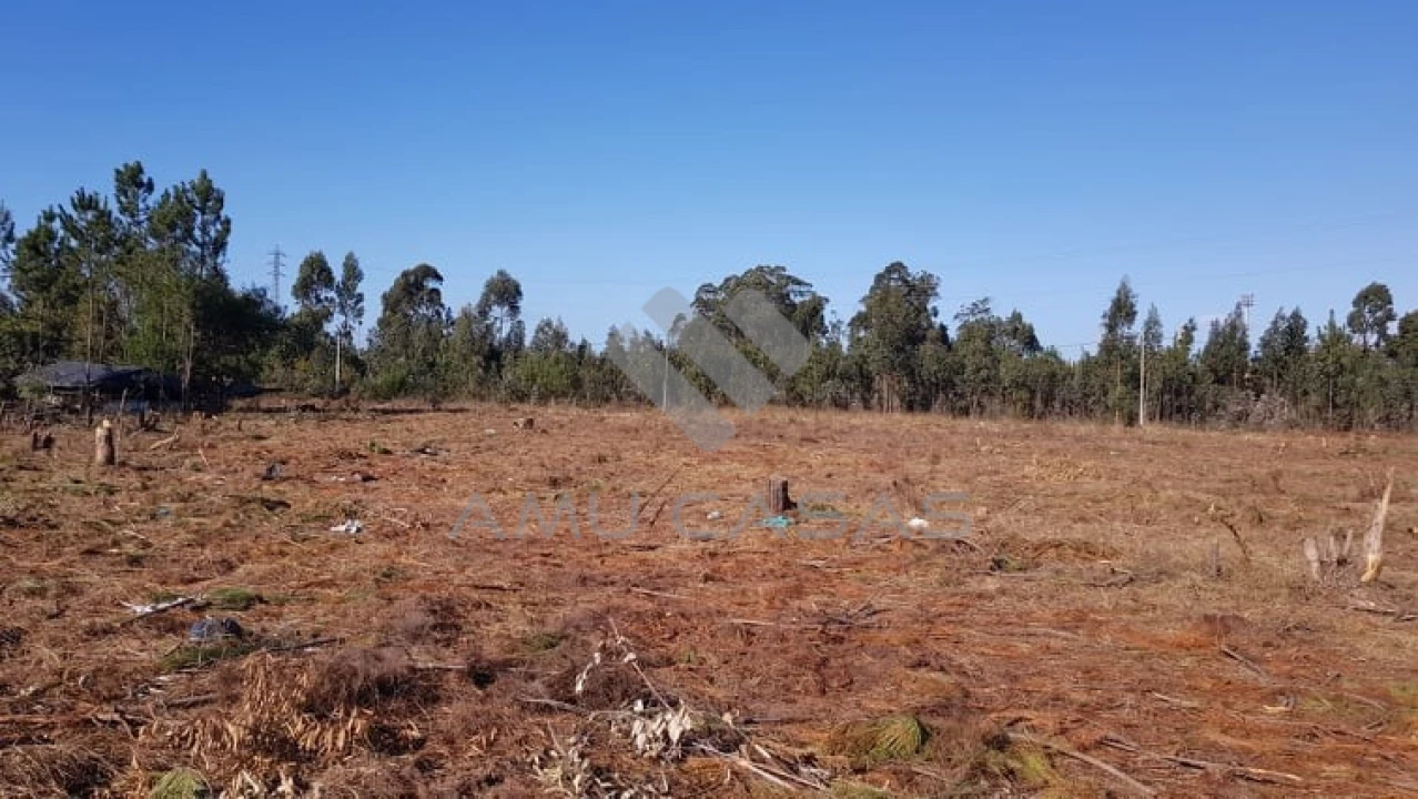 Terreno para Venda em Beduído e Veiros Foto 8