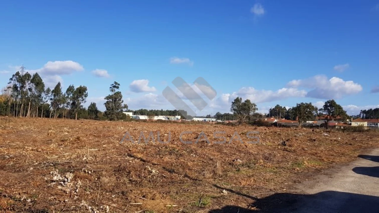 Terreno para Venda em Beduído e Veiros Foto 5