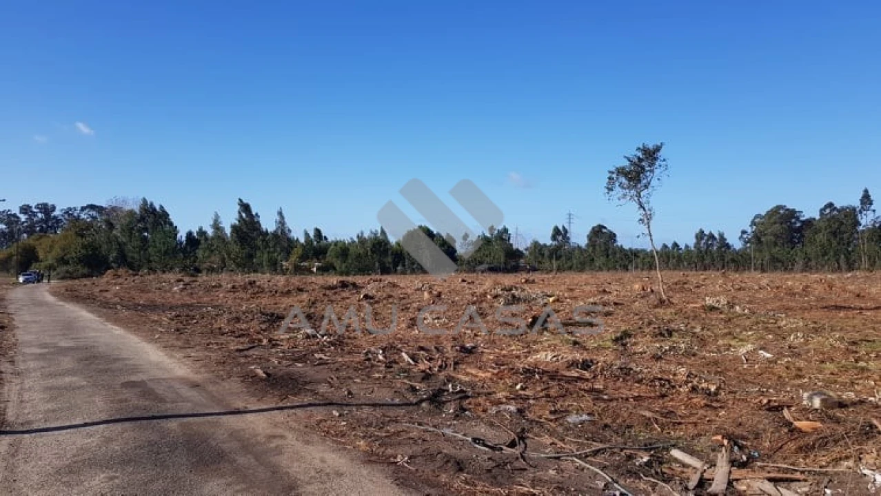 Terreno para Venda em Beduído e Veiros Foto 14