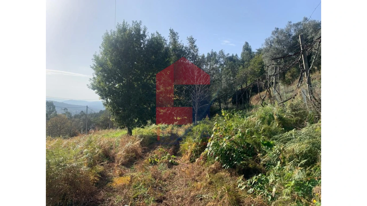 Terreno para Venda em Pico de Regalados, Gondiães e Mós Foto 7