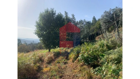 Terreno para Venda em Pico de Regalados, Gondiães e Mós