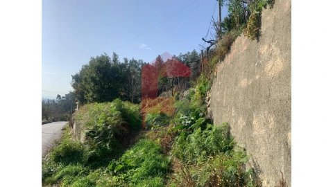 Terreno para Venda em Pico de Regalados, Gondiães e Mós