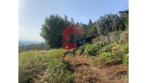 Terreno para Venda em Pico de Regalados, Gondiães e Mós