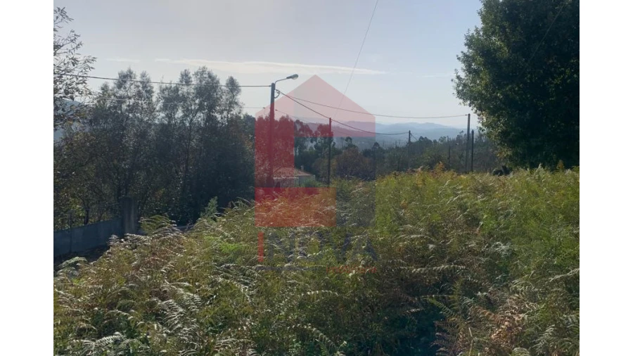 Terreno para Venda em Pico de Regalados, Gondiães e Mós Foto 6