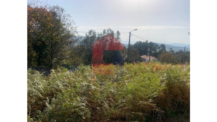 Terreno para Venda em Pico de Regalados, Gondiães e Mós Foto 8