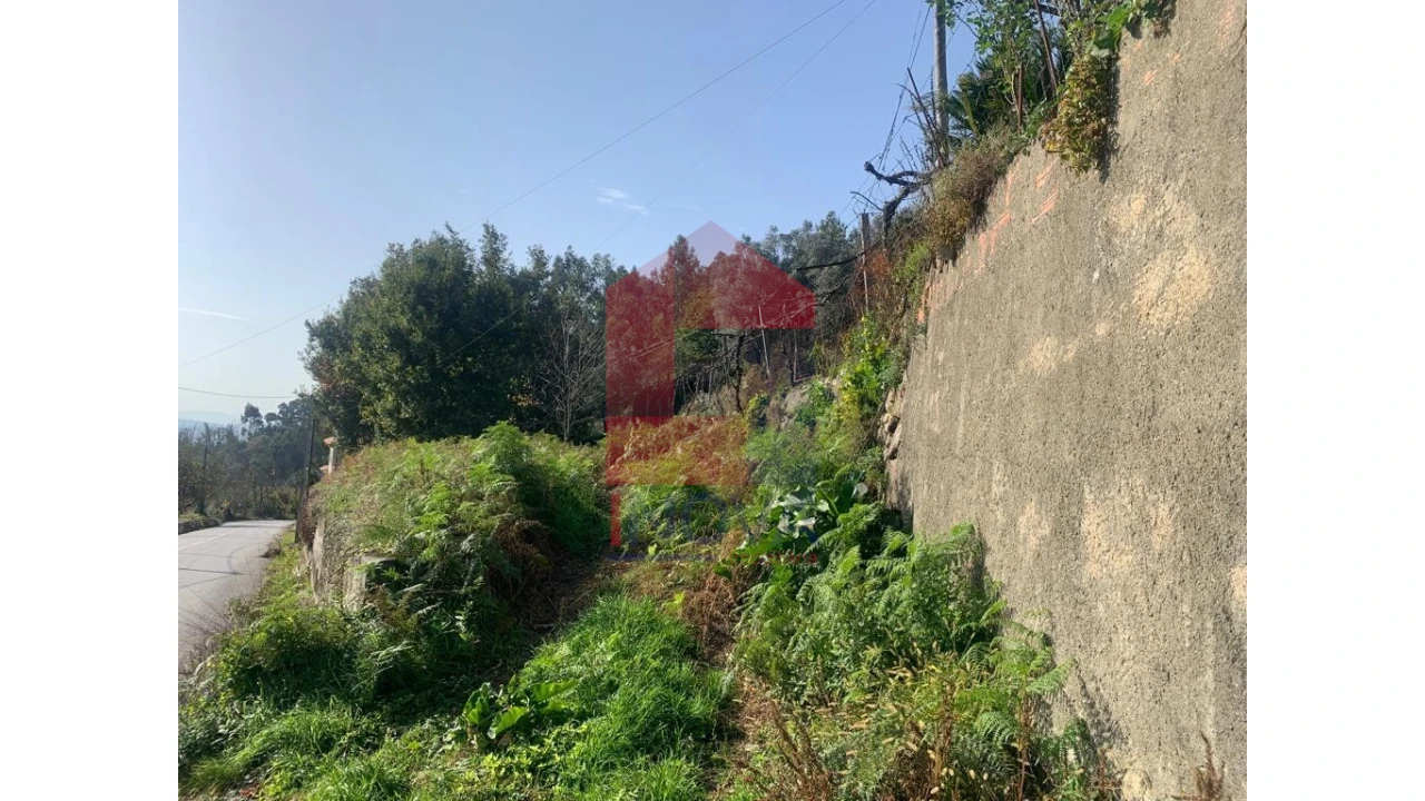 Terreno para Venda em Pico de Regalados, Gondiães e Mós Foto 9