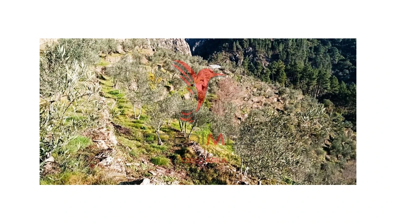 Terreno para Venda em Parada de Cunhos Foto 18