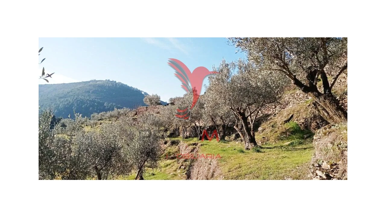 Terreno para Venda em Parada de Cunhos Foto 16