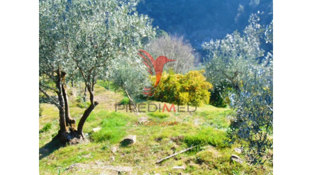 Terreno para Venda em Parada de Cunhos Foto 8