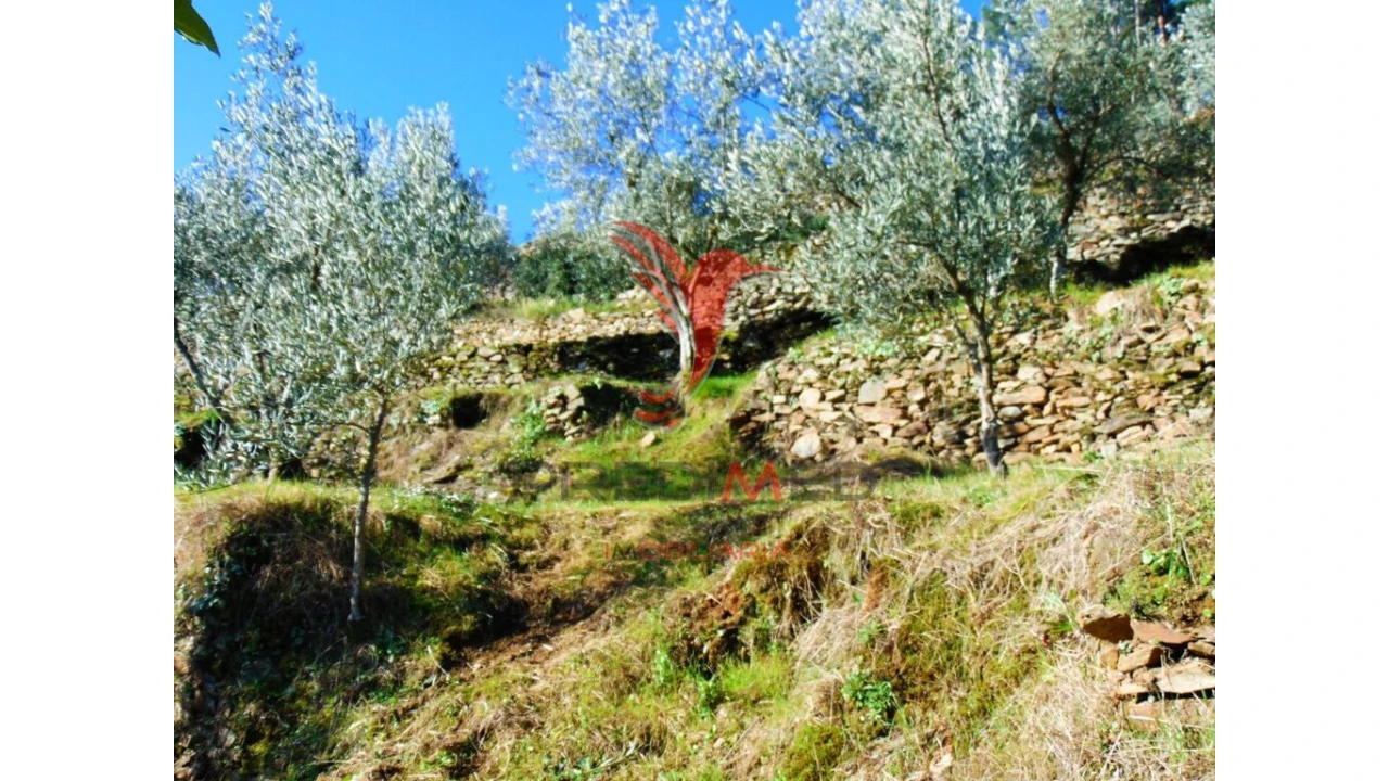 Terreno para Venda em Parada de Cunhos Foto 13