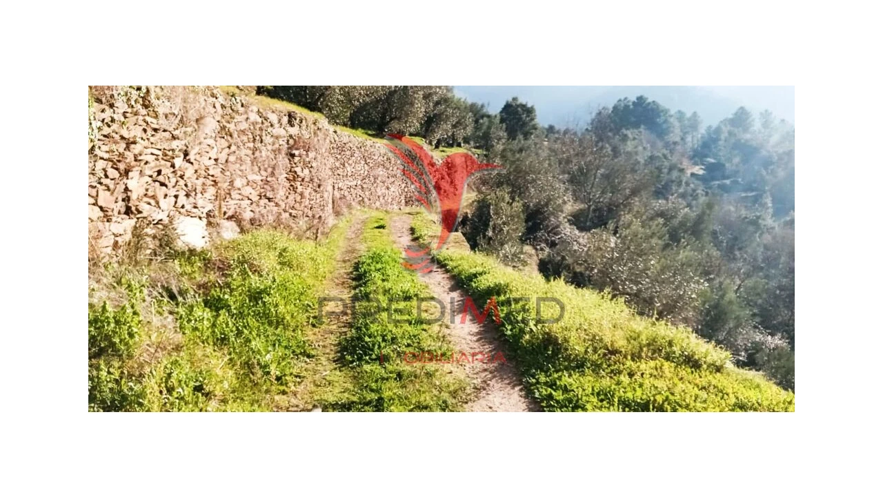 Terreno para Venda em Parada de Cunhos Foto 17