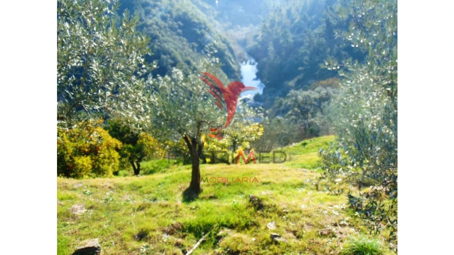 Terreno para Venda em Parada de Cunhos Foto 7