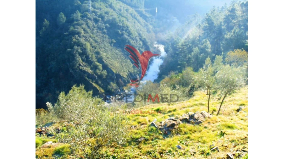 Terreno para Venda em Parada de Cunhos Foto 5