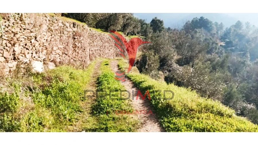 Terreno para Venda em Parada de Cunhos Foto 17