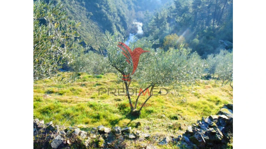 Terreno para Venda em Parada de Cunhos Foto 2