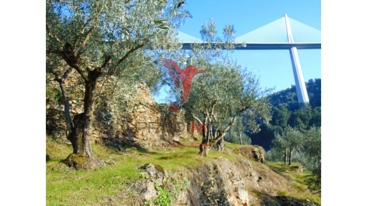 Terreno para Venda em Parada de Cunhos Foto 9