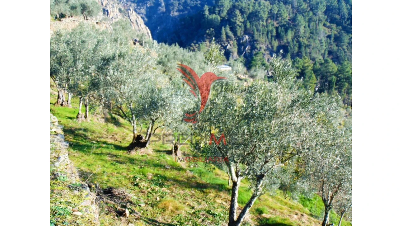 Terreno para Venda em Parada de Cunhos Foto 6