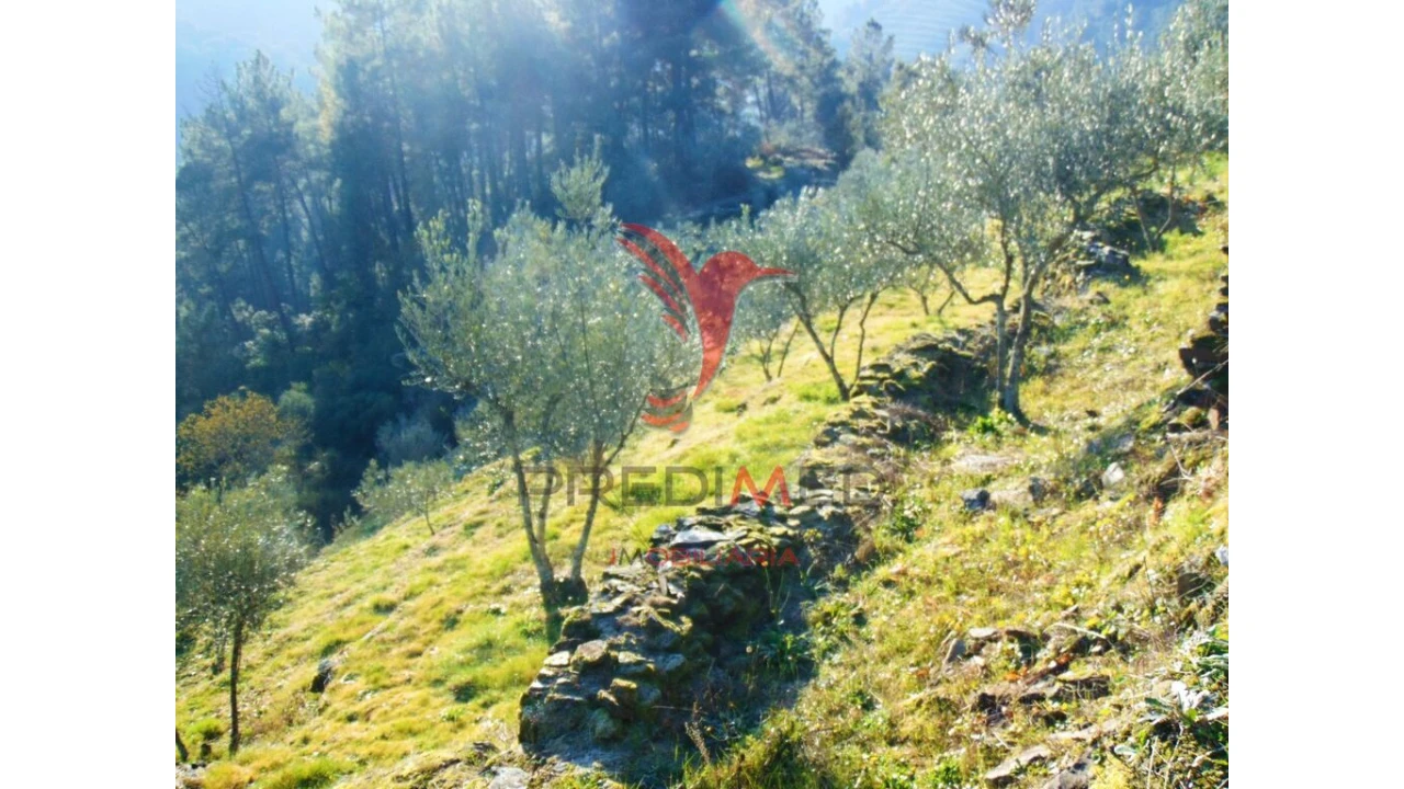 Terreno para Venda em Parada de Cunhos Foto 4