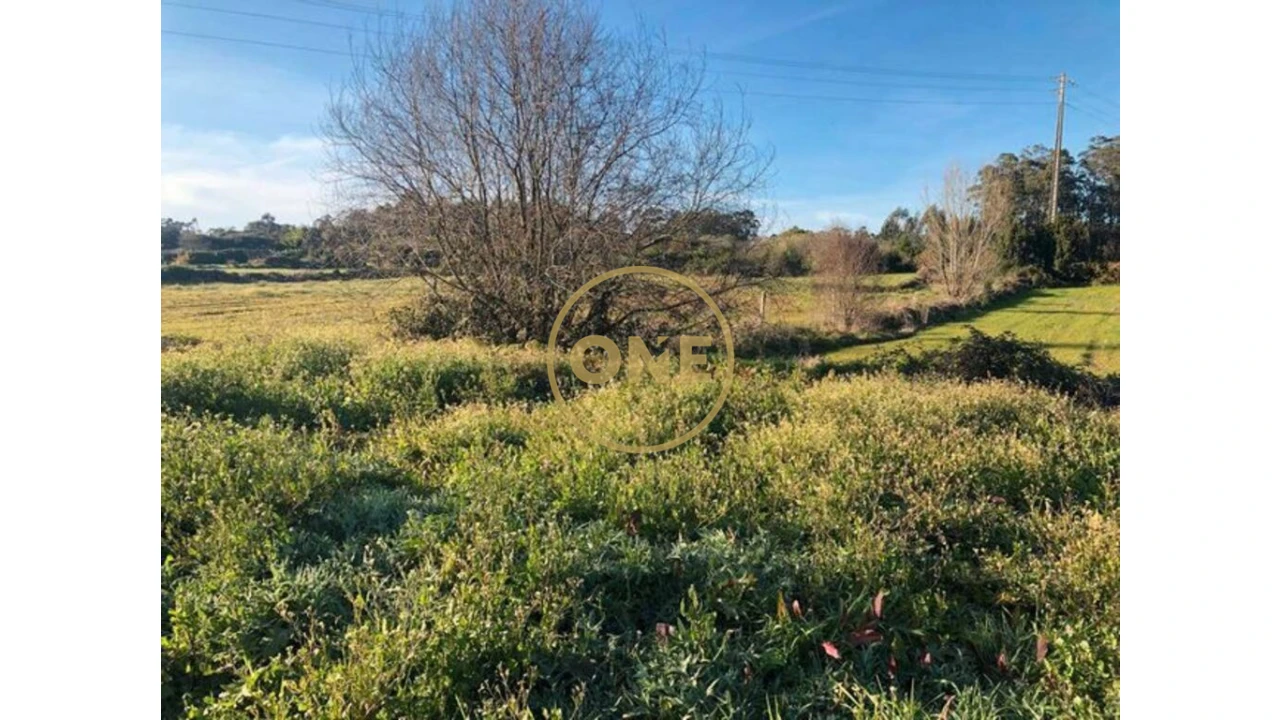 Terreno para Venda em Barqueiros Foto 4