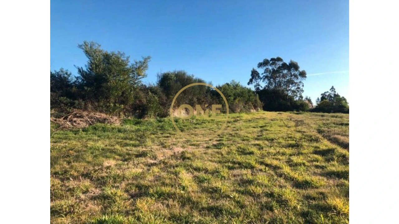 Terreno para Venda em Barqueiros Foto 12