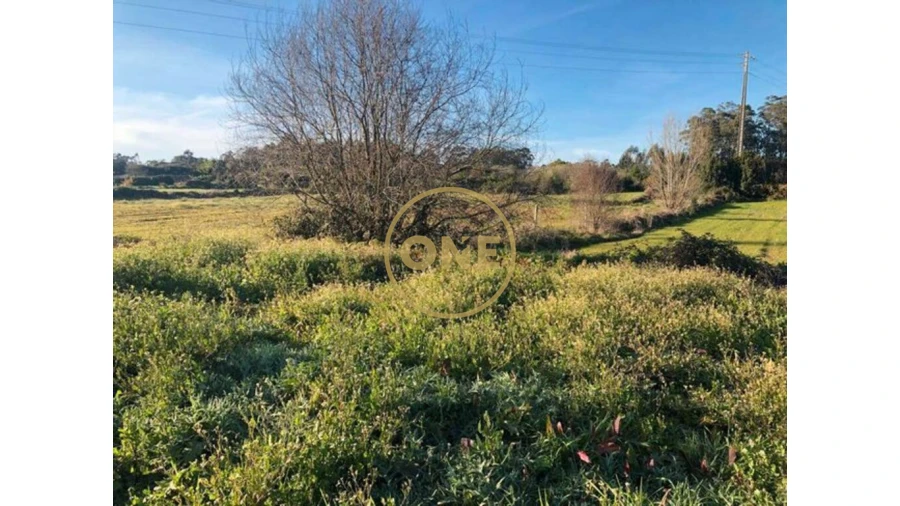 Terreno para Venda em Barqueiros Foto 4