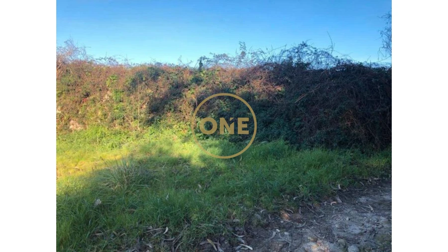 Terreno para Venda em Barqueiros Foto 3