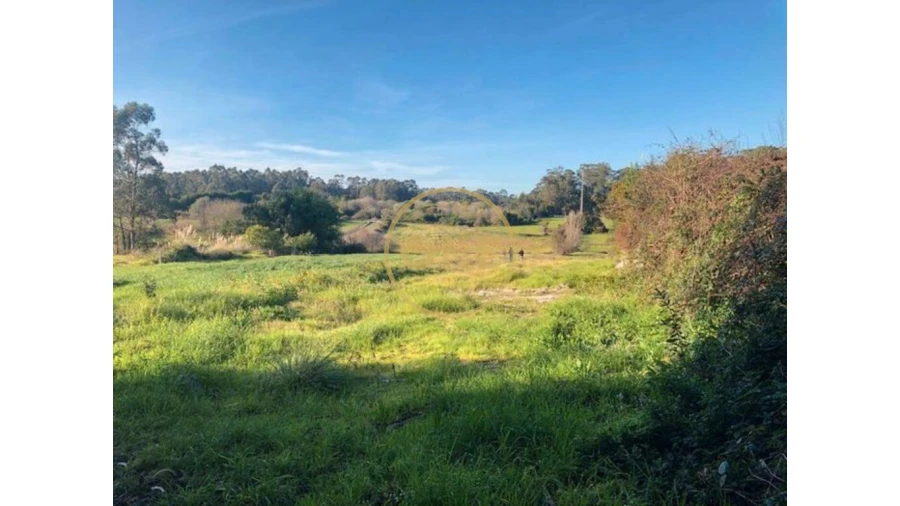 Terreno para Venda em Barqueiros Foto 6