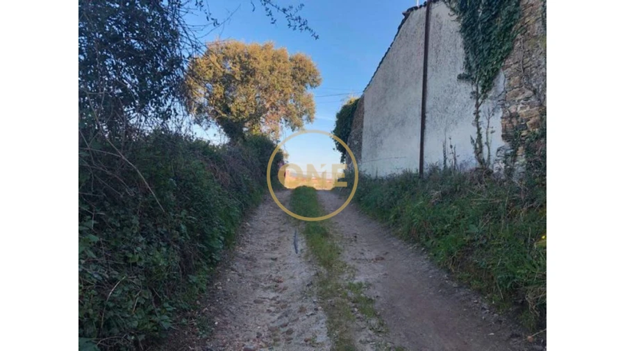 Terreno para Venda em Barqueiros Foto 13