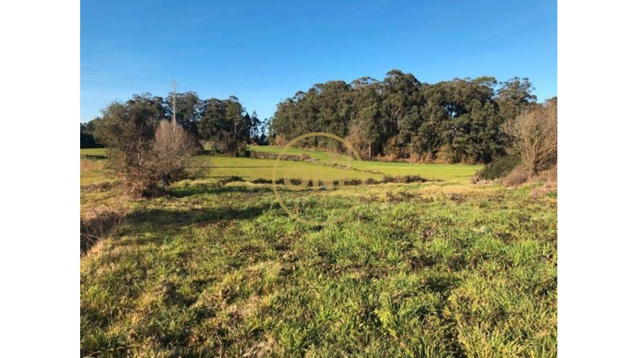 Terreno para Venda em Barqueiros Foto 11