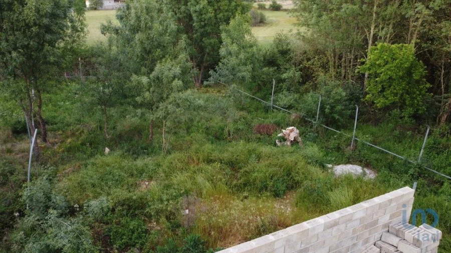 Terreno para Venda em Vale de Anta Foto 9