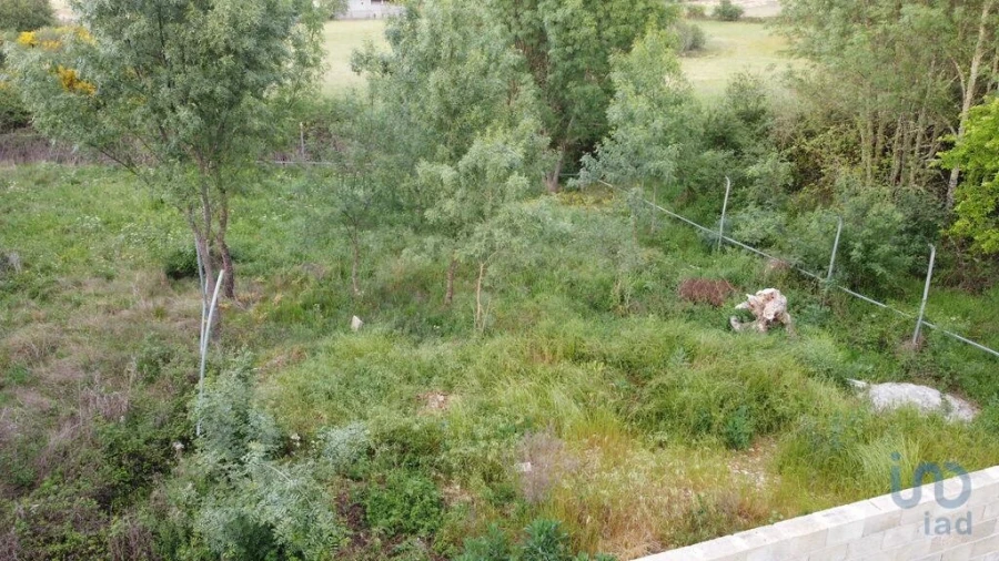 Terreno para Venda em Vale de Anta Foto 10