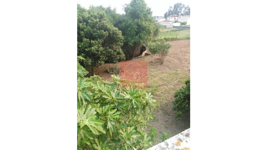 Quinta T2 para Venda em Barroselas e Carvoeiro Foto 6