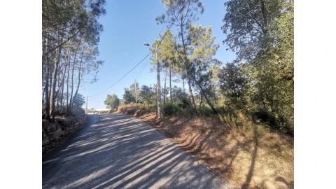 Terreno para Venda em Sé Nova, Santa Cruz, Almedina e São Bartolomeu