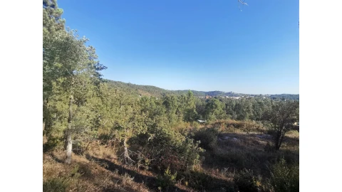 Terreno para Venda em Sé Nova, Santa Cruz, Almedina e São Bartolomeu