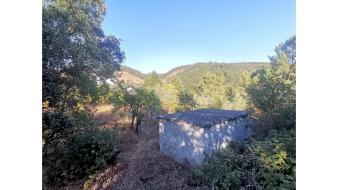 Terreno para Venda em Sé Nova, Santa Cruz, Almedina e São Bartolomeu