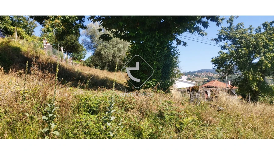 Quinta T3 para Venda em Bico e Cristelo Foto 3